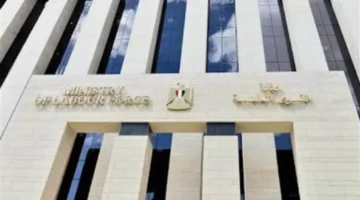 توسّع فرص العمل لذوي الهمم في 2026 بخطة تمكين شاملة